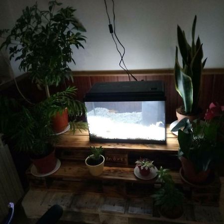 Hostal El Tropezon Matallana de Valmadrigal Εξωτερικό φωτογραφία