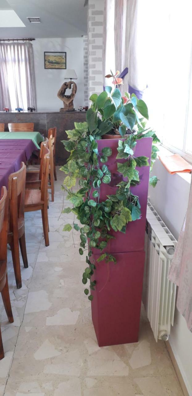 Hostal El Tropezon Matallana de Valmadrigal Εξωτερικό φωτογραφία